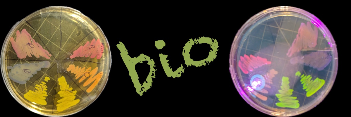 Banner image for Intro to Micro Bio Workshop